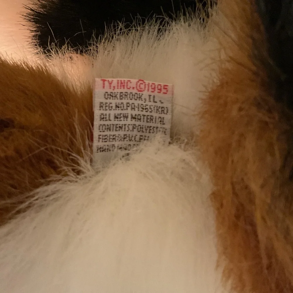 Ty “Maggie” orange cat
